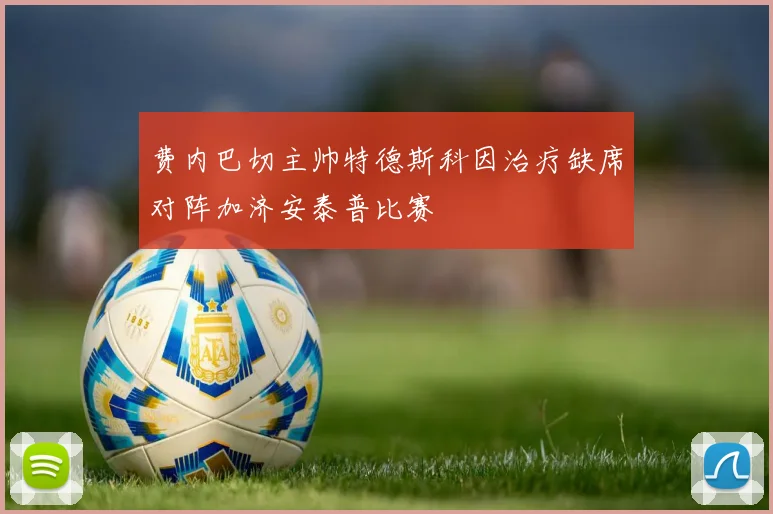 费内巴切主帅特德斯科因治疗缺席对阵加济安泰普比赛
