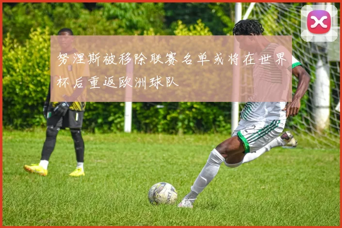 努涅斯被移除联赛名单或将在世界杯后重返欧洲球队